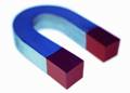 Magnet 